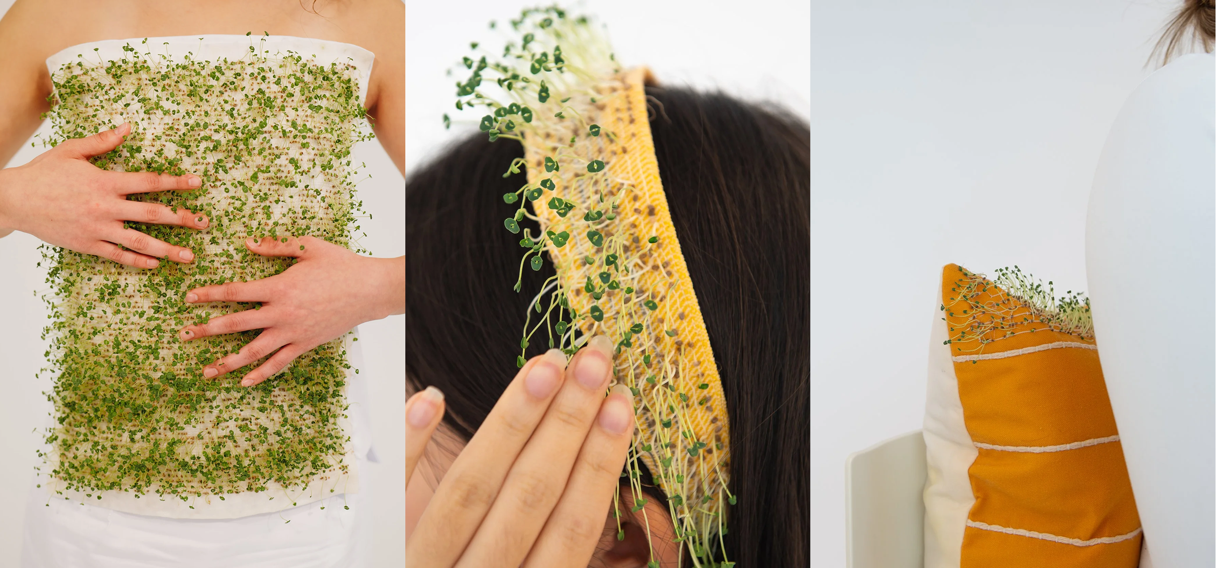 Swatches created from chia seed yarn